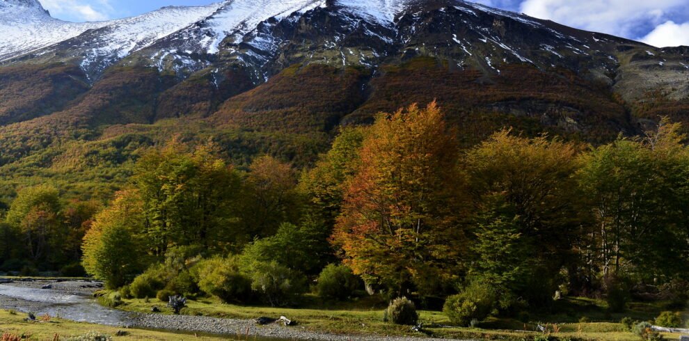 Parque Nacional Tierra del Fuego - Visita Guiada