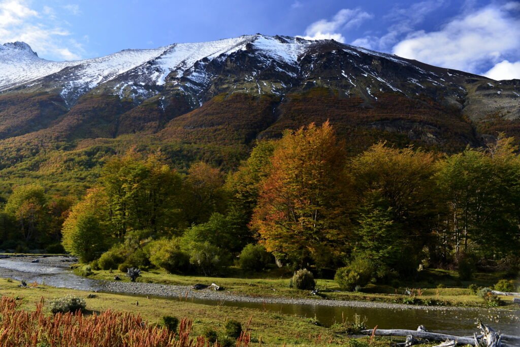 Parque Nacional Tierra del Fuego – Visita Guiada